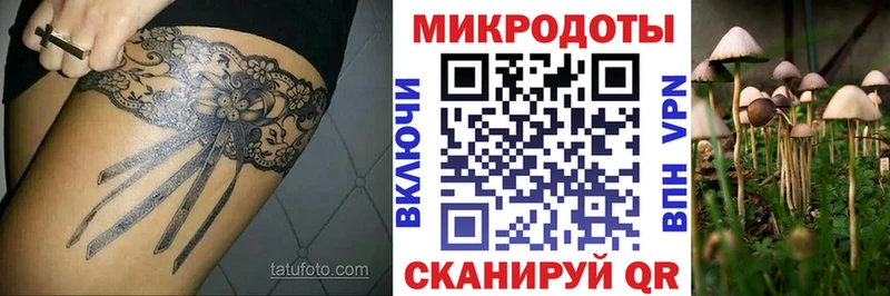 Галлюциногенные грибы прущие грибы  как найти   Галич 